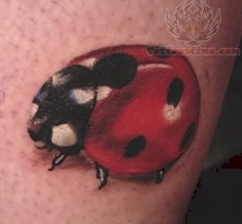Red Bug Tattoo