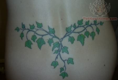 Trailing Ivy Tattoo
