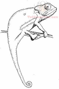 Lizard Tattoo Sample