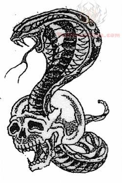 Snake Tattoo Pattern