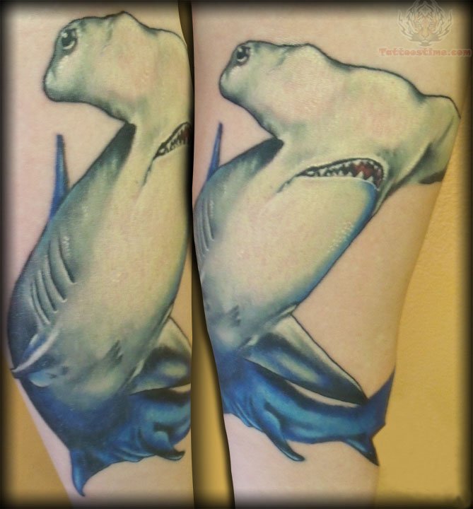 Hammerhead Shark On Leg Tattoo