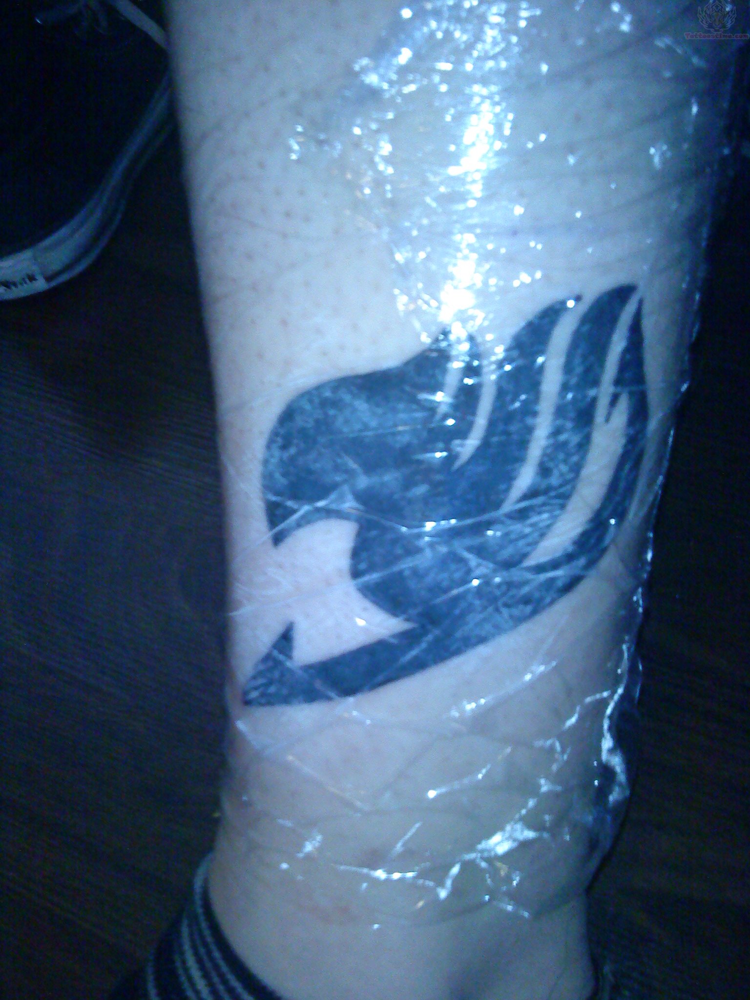 Recently Tattooed Fairy Tail