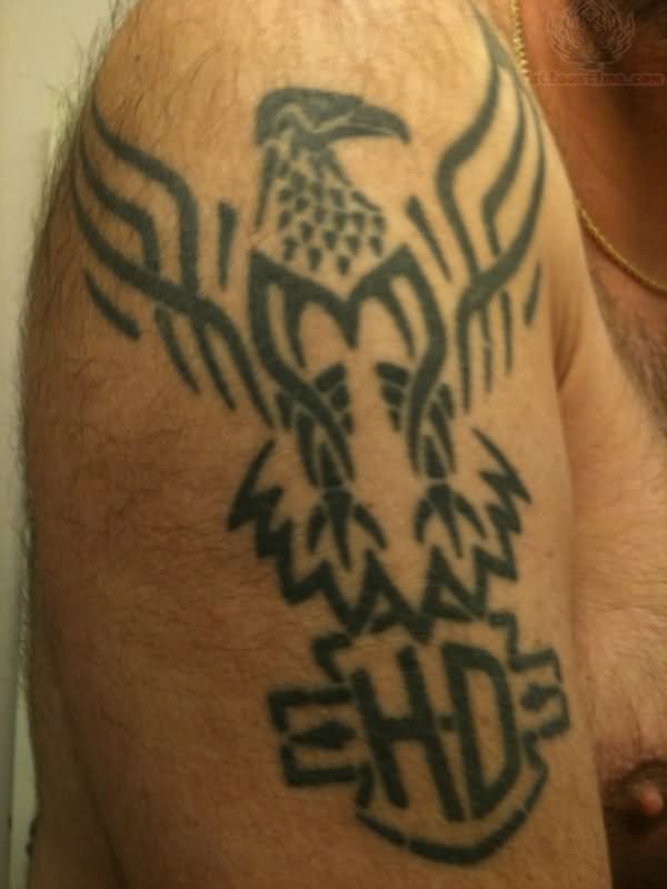 Harley Davidson Tribal Eagle Tattoo On Shoulder