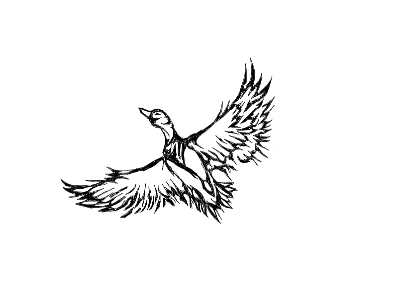 Tribal Flying Duck Tattoo Design