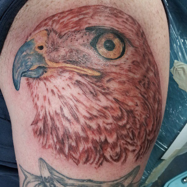Unique Hawk Head Tattoo on shoulder