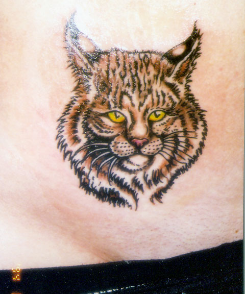 Yellow Eyes Lynx Tattoo On Belly