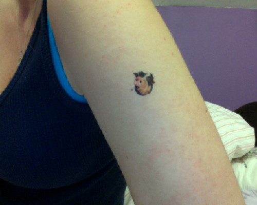 Tiny Pig Head Tattoo On Bicep