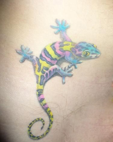 Colored Beautiful Salamander Tattoo