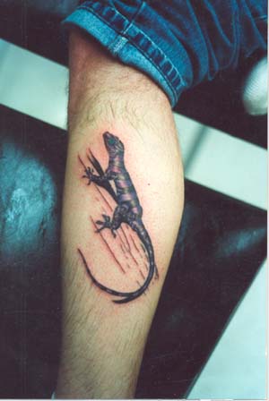 Salamandar Tattoo On Back Leg For Men