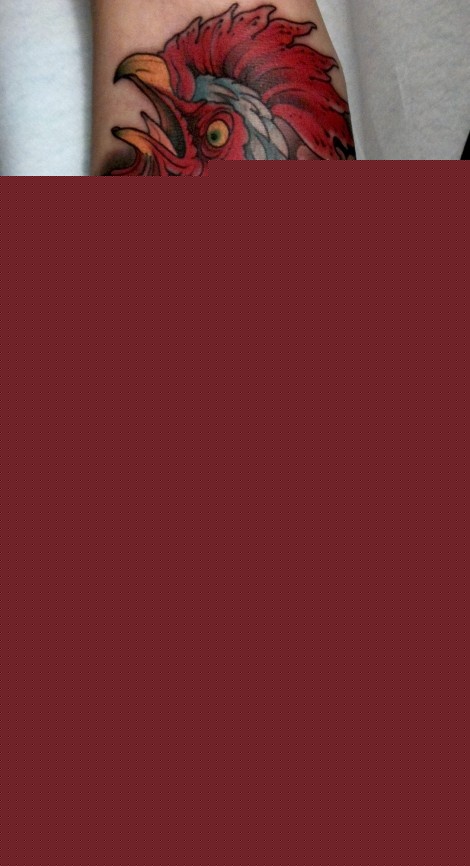 Colored Rooster Tattoo On Full Sleeve