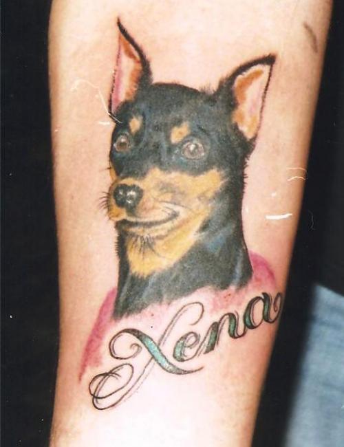 Xena Dog Head Tattoo On Bicep
