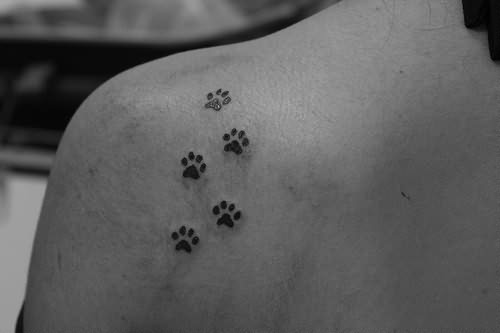 Paw Foot Print Tattoo On Back