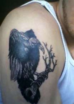 Black Ink Vulture Tattoo On Right Shoulder