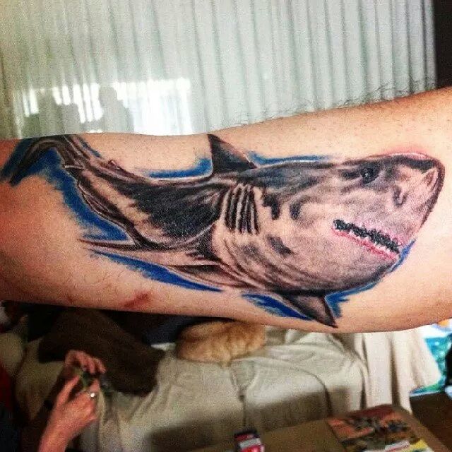 Shark Tattoo On Arm