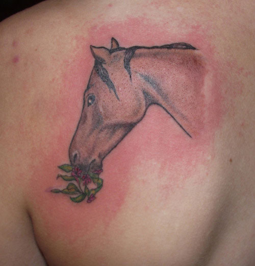 Horse Eating Grass Tattoo On Left Back Shoiulder