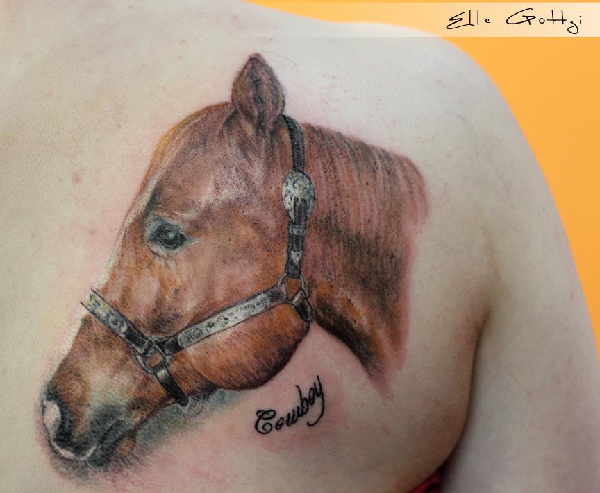 Right Back Shoulder Brown Horse Tattoo