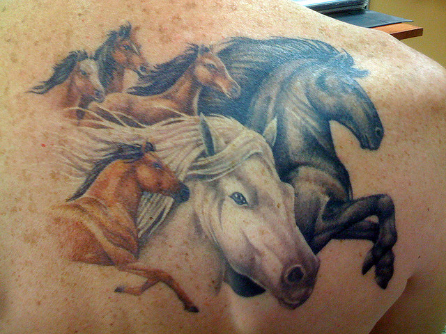 White And Grey Ink Horse Tattoos On Back Shoulder
