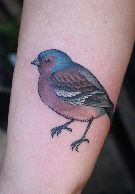Realistic Sparrow Bird Tattoo