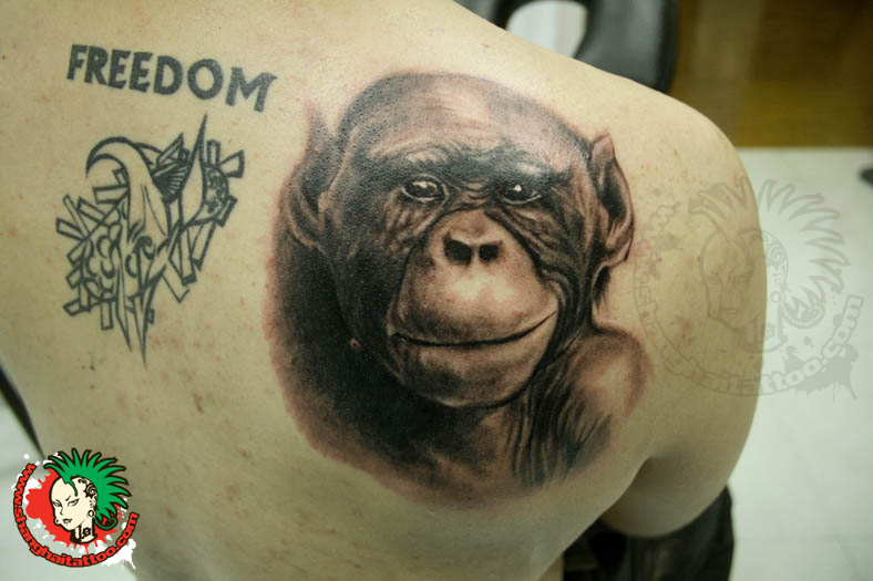 Man Right Back Shoulder Chimpanzee Tattoo
