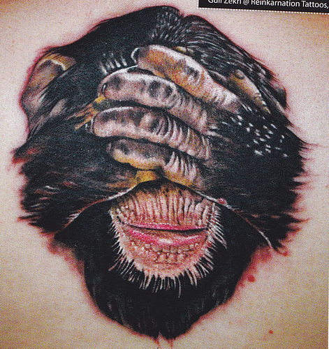 Realistic Shy Chimpanzee Tattoo