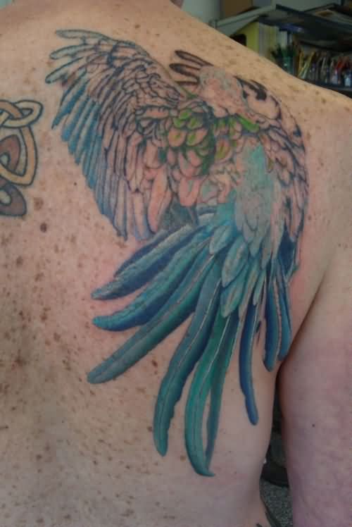 Right Back Shoulder Color Parrot Tattoo