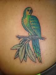 Small Green Parrot Tattoo