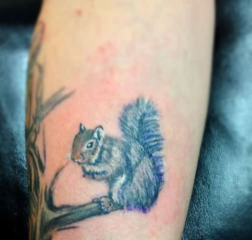 Small Squirrel Tattoo On Arm