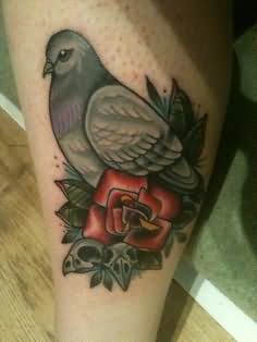 Red Rose Flower And Pigeon Tattoo