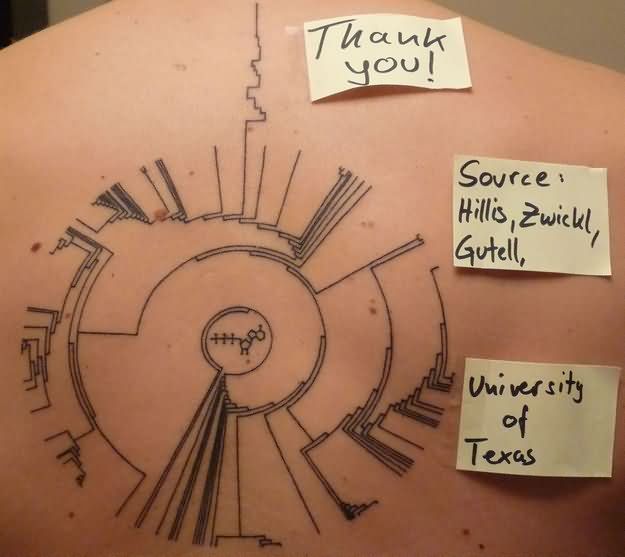 Science Tattoo On Upperback