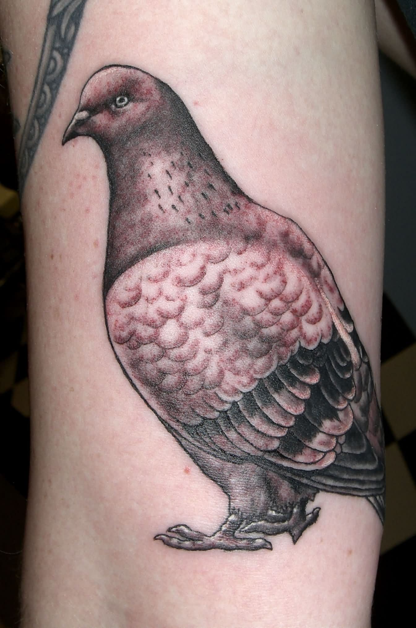 Sleeve Grey Ink Pigeon Tattoo