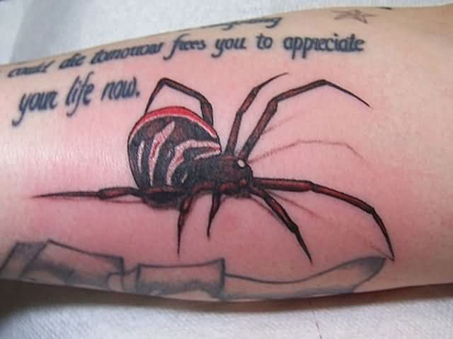 Lettering And Latrodectus Tattoo