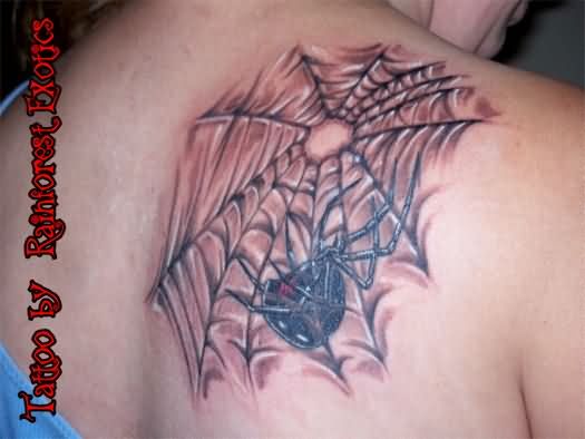 Right Back Shoulder Spider Web And Latrodectus Tattoo