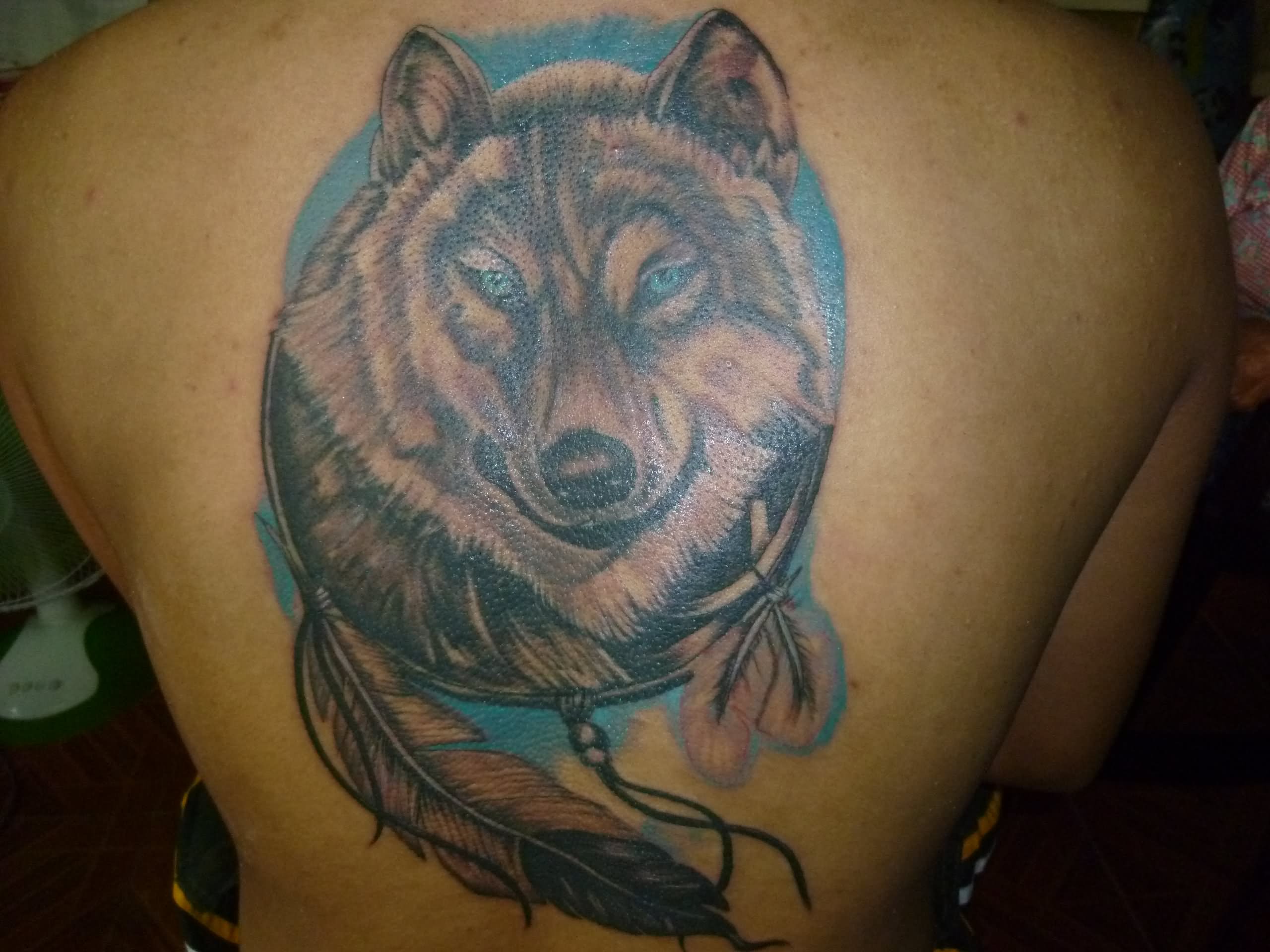 Dream Catcher Wolf Tattoo On Back
