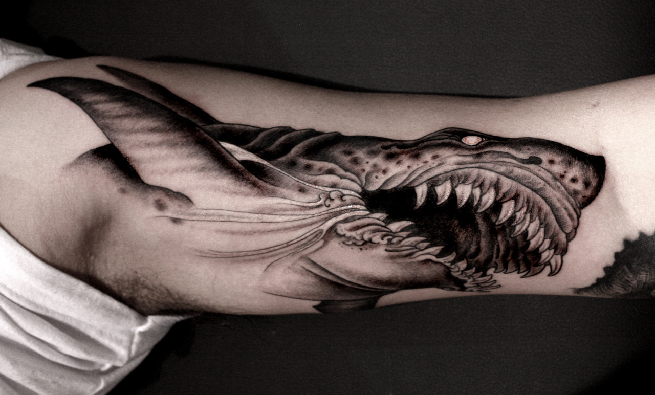 Black Ink Shark Tattoo On Bicep