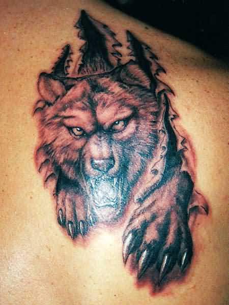 Angry Bear Tattoo On Back