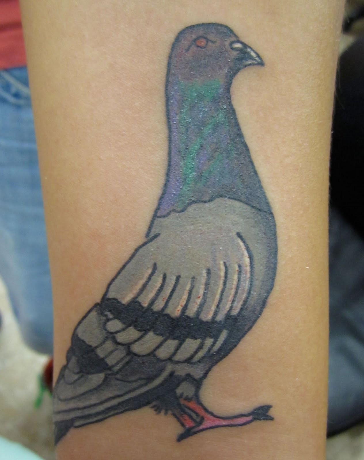 Color Pigeon Tattoo On Arm
