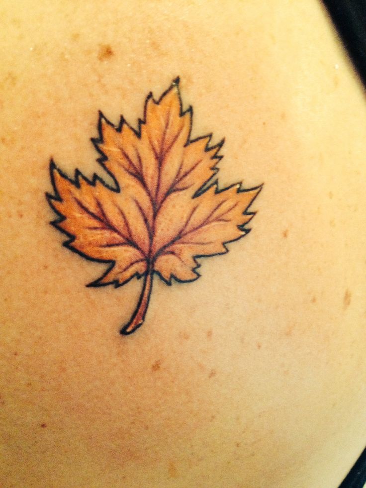 Leaf Tattoo Design Picture