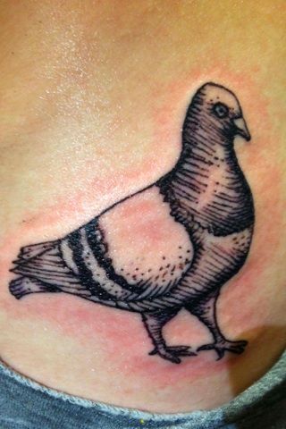 Pigeon Tattoo Design By Brucius