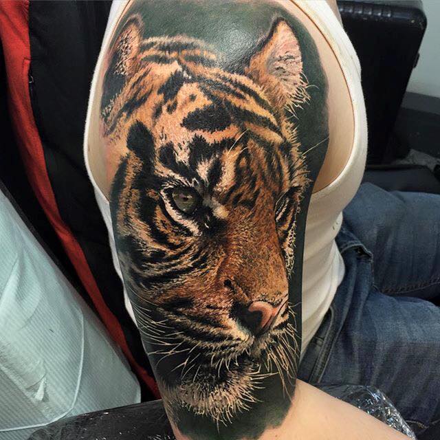Tiger Tattoo On Half Sleeve by Steve Butcher
