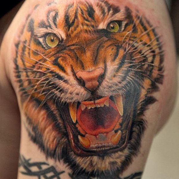 Angry Tiger Tattoo On Left Shoulder