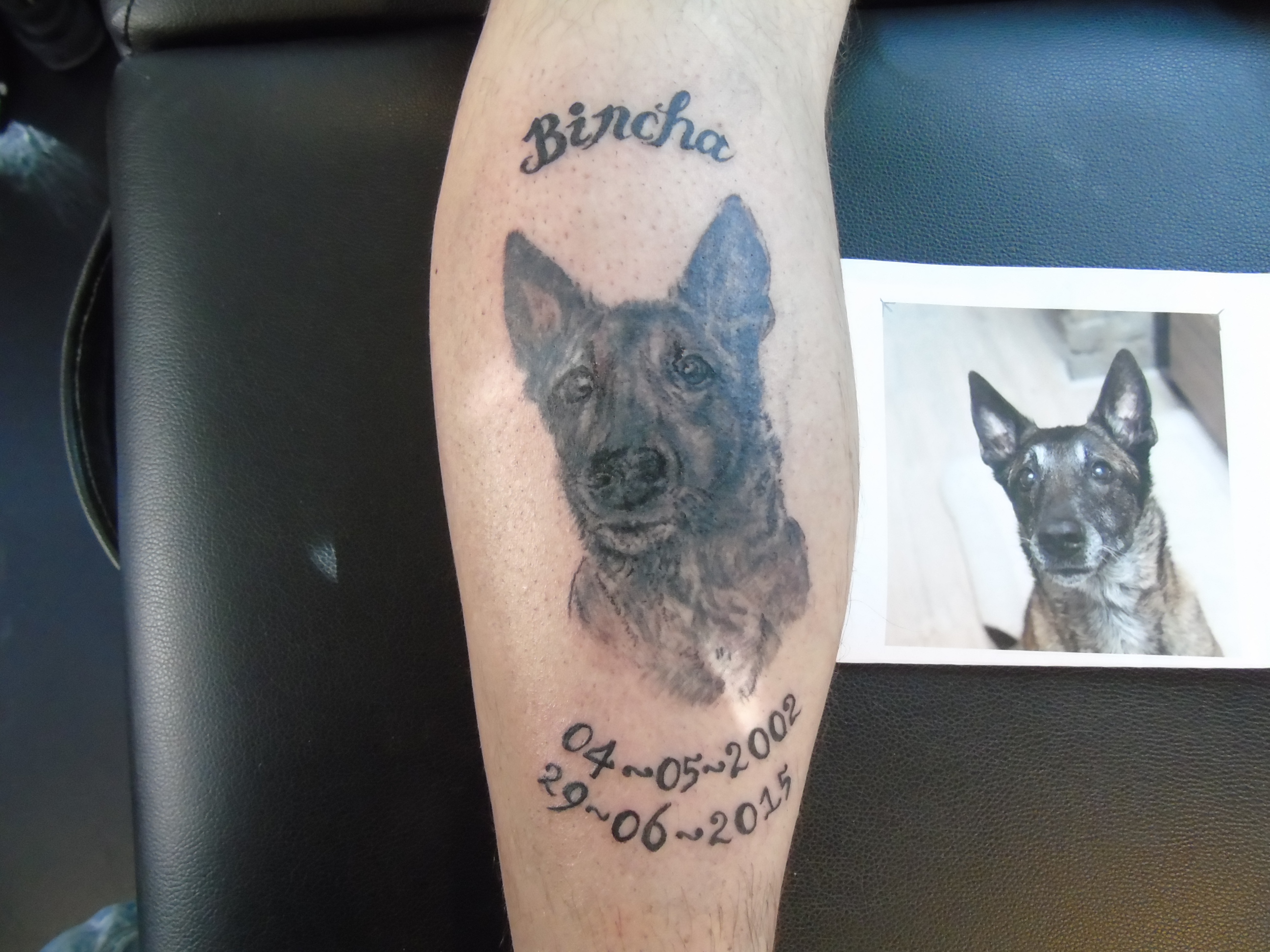 Bincha – Dog Memorial Tattoo