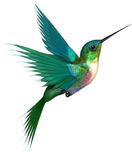 Flying Hummingbird Tattoo Design Idea