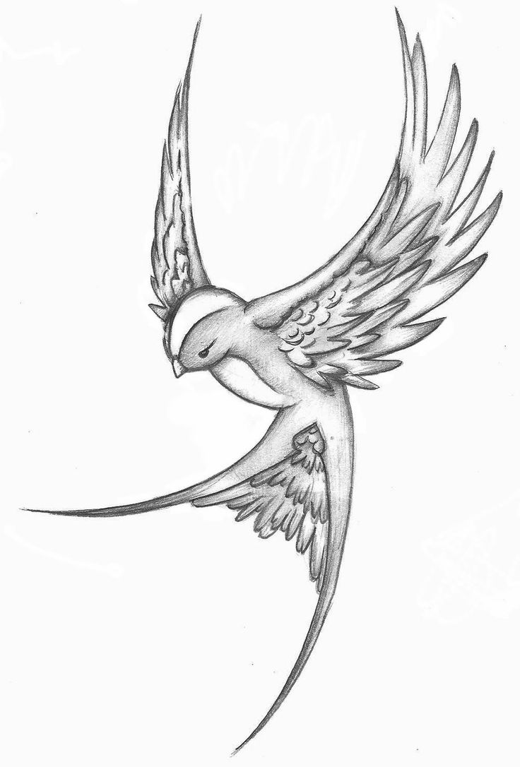 Flying Swallow Tattoo Design Idea