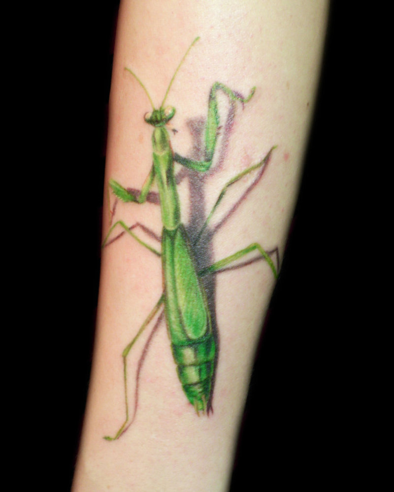 Green Ink Mantis Tattoo On Arm