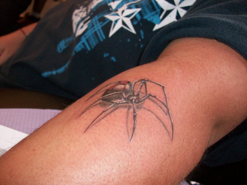 Grey Arachnids Tattoo On Left Arm