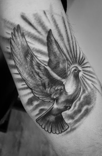 Grey Ink Dove Tattoo Designs For Girls