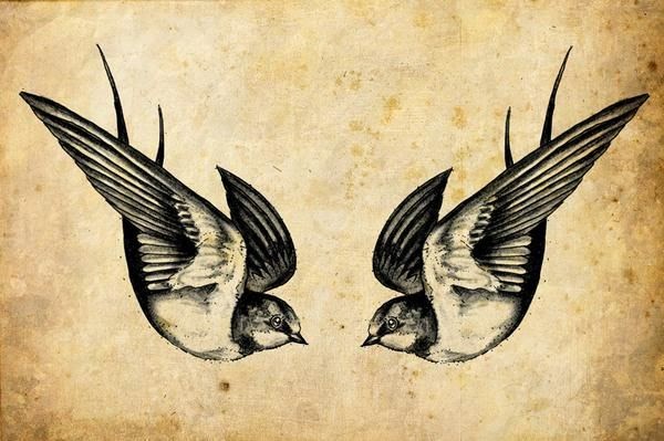 Swallow Tattoo Design Flash