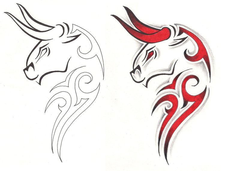 Taurus Tattoo Design Stencil