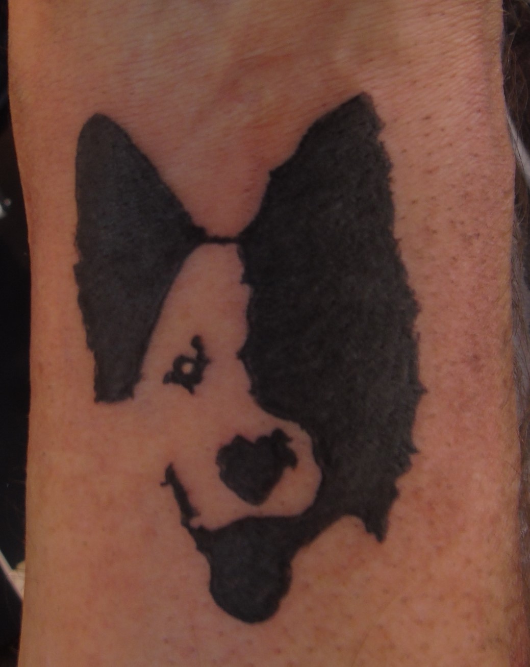 Black And White Dog Tattoo by Jolly Rogerz