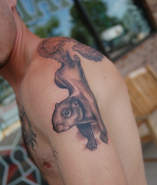 Nice Grey Squirrel Tattoo On Man Left Shoulder